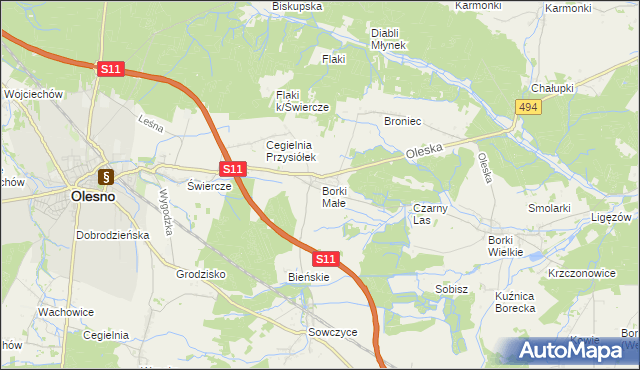 mapa Borki Małe gmina Olesno, Borki Małe gmina Olesno na mapie Targeo