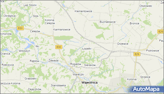 mapa Łopatki gmina Wąwolnica, Łopatki gmina Wąwolnica na mapie Targeo