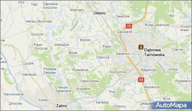 mapa Oleśnica gmina Olesno, Oleśnica gmina Olesno na mapie Targeo