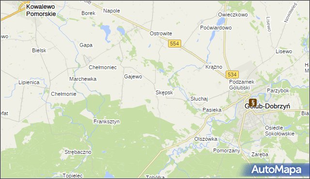 mapa Skępsk, Skępsk na mapie Targeo