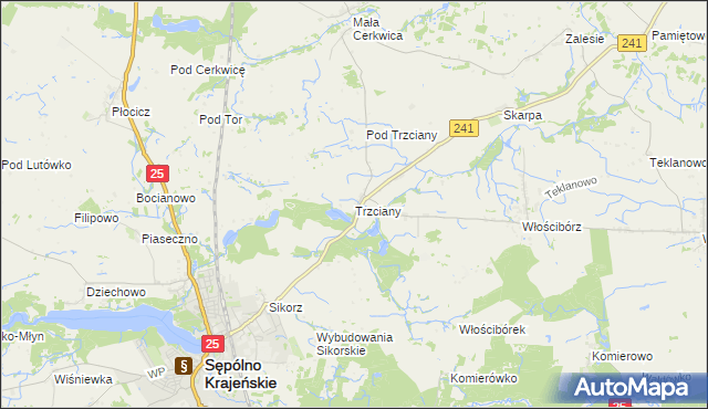 mapa Trzciany gmina Sępólno Krajeńskie, Trzciany gmina Sępólno Krajeńskie na mapie Targeo