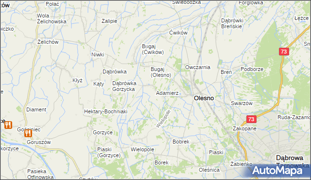 mapa Adamierz gmina Olesno, Adamierz gmina Olesno na mapie Targeo