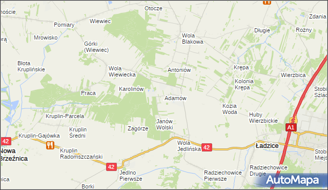 mapa Adamów gmina Ładzice, Adamów gmina Ładzice na mapie Targeo