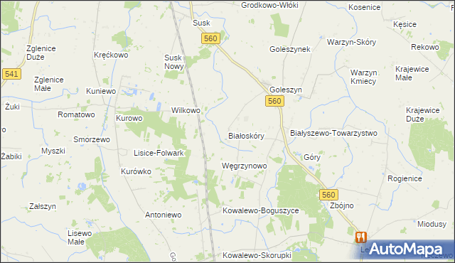 mapa Białoskóry gmina Sierpc, Białoskóry gmina Sierpc na mapie Targeo