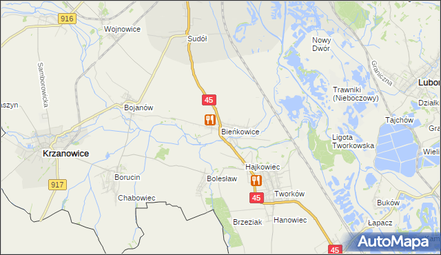 mapa Bieńkowice gmina Krzyżanowice, Bieńkowice gmina Krzyżanowice na mapie Targeo