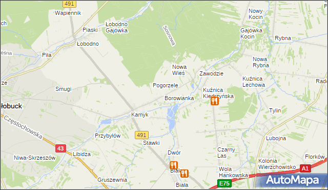mapa Borowianka, Borowianka na mapie Targeo