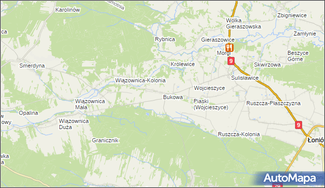 mapa Bukowa gmina Osiek, Bukowa gmina Osiek na mapie Targeo