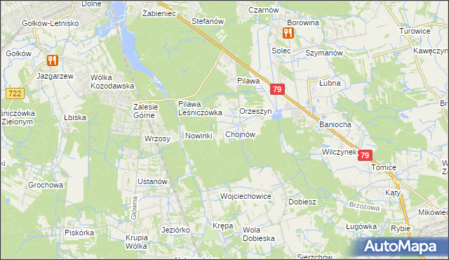 mapa Chojnów gmina Piaseczno, Chojnów gmina Piaseczno na mapie Targeo