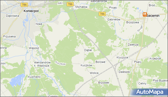 mapa Dąbie gmina Secemin, Dąbie gmina Secemin na mapie Targeo