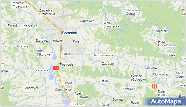 mapa Januszkowice gmina Brzostek, Januszkowice gmina Brzostek na mapie Targeo