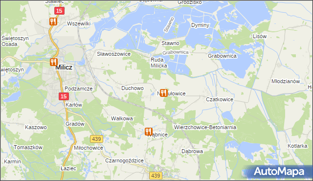 mapa Niesułowice gmina Milicz, Niesułowice gmina Milicz na mapie Targeo