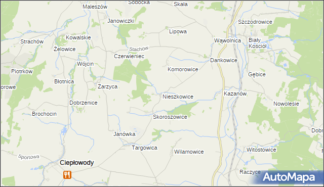 mapa Nieszkowice gmina Strzelin, Nieszkowice gmina Strzelin na mapie Targeo