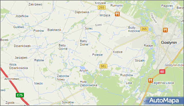 mapa Polesie gmina Gostynin, Polesie gmina Gostynin na mapie Targeo