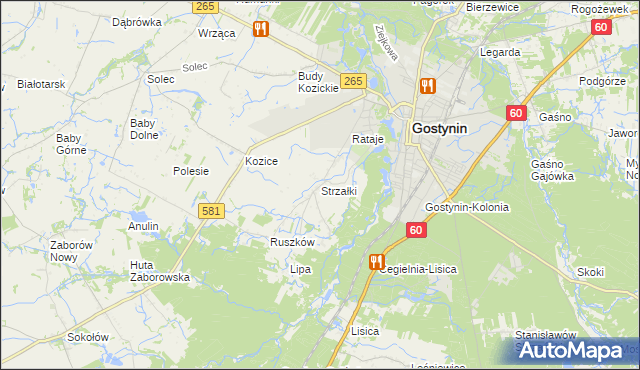 mapa Strzałki gmina Gostynin, Strzałki gmina Gostynin na mapie Targeo