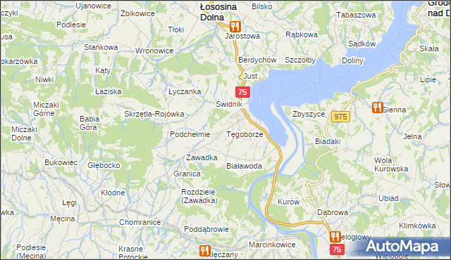 mapa Tęgoborze, Tęgoborze na mapie Targeo