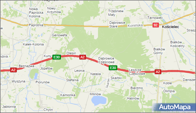 mapa Dąbrowice Częściowe, Dąbrowice Częściowe na mapie Targeo