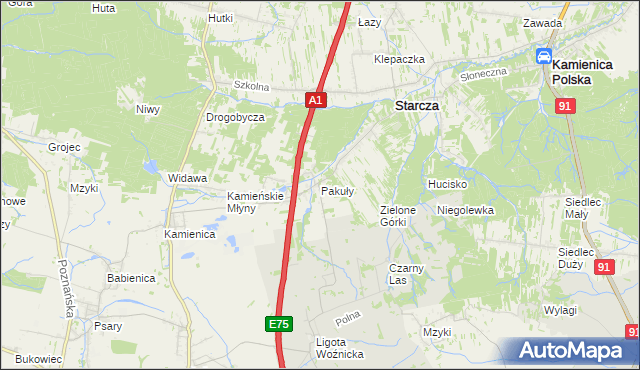 mapa Pakuły gmina Woźniki, Pakuły gmina Woźniki na mapie Targeo