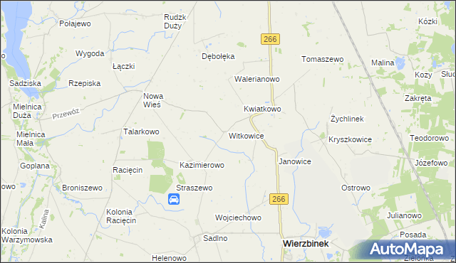 mapa Witkowice gmina Wierzbinek, Witkowice gmina Wierzbinek na mapie Targeo
