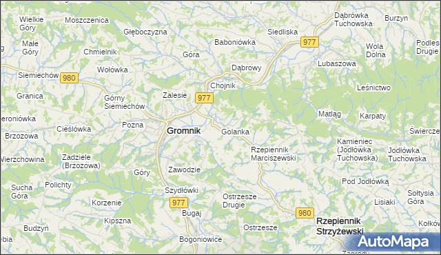 mapa Golanka gmina Gromnik, Golanka gmina Gromnik na mapie Targeo