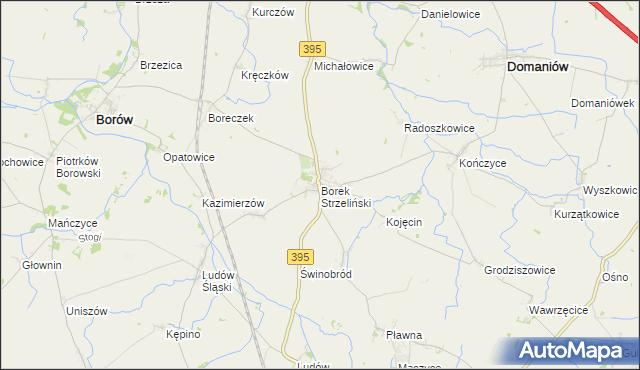 mapa Borek Strzeliński, Borek Strzeliński na mapie Targeo