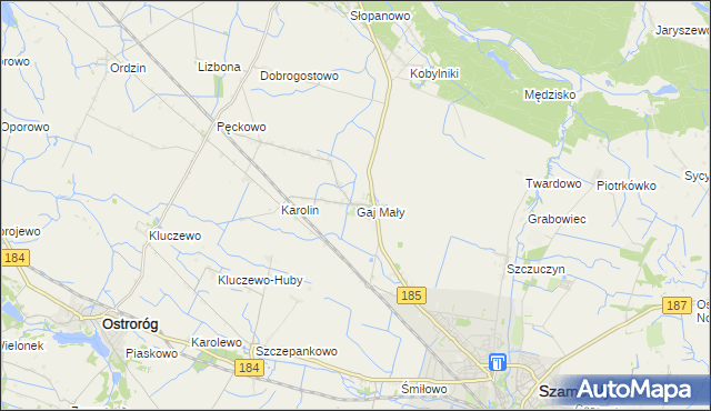 mapa Gaj Mały gmina Obrzycko, Gaj Mały gmina Obrzycko na mapie Targeo
