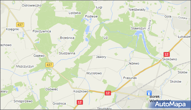 mapa Jawory gmina Borek Wielkopolski, Jawory gmina Borek Wielkopolski na mapie Targeo