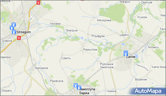 mapa Pastuchów, Pastuchów na mapie Targeo