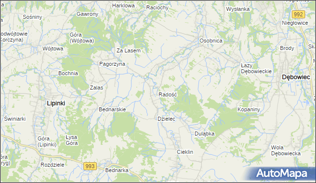 mapa Radość gmina Dębowiec, Radość gmina Dębowiec na mapie Targeo