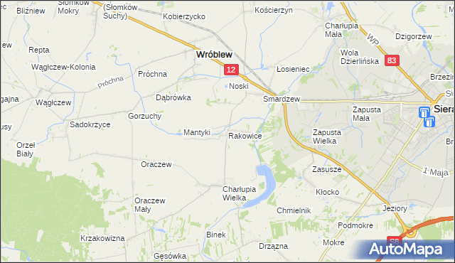 mapa Rakowice gmina Wróblew, Rakowice gmina Wróblew na mapie Targeo