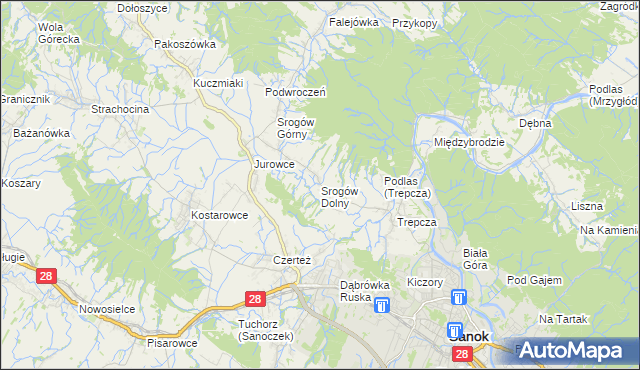 mapa Srogów Dolny, Srogów Dolny na mapie Targeo
