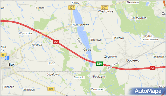 mapa Cieśle gmina Buk, Cieśle gmina Buk na mapie Targeo