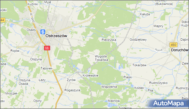 mapa Wygoda Tokarska, Wygoda Tokarska na mapie Targeo