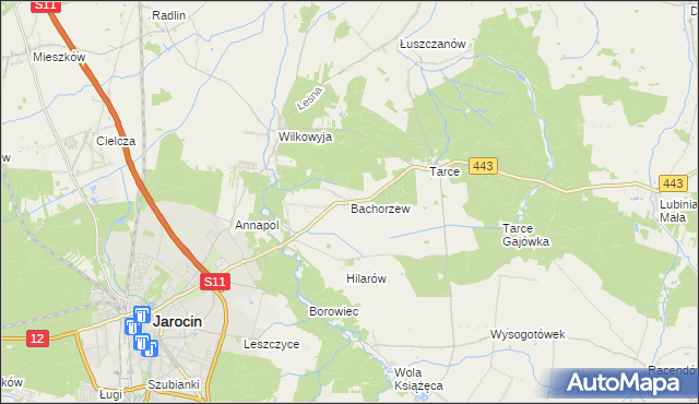 mapa Bachorzew, Bachorzew na mapie Targeo