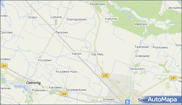 mapa Gaj Mały gmina Obrzycko, Gaj Mały gmina Obrzycko na mapie Targeo