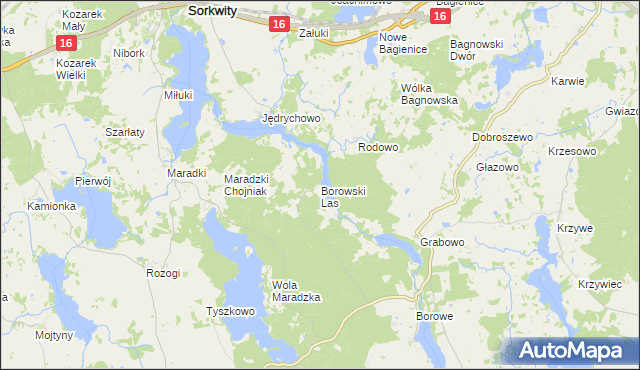 mapa Borowski Las, Borowski Las na mapie Targeo