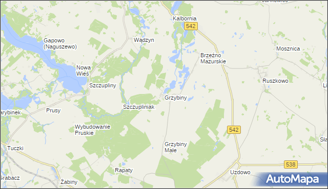 mapa Grzybiny, Grzybiny na mapie Targeo