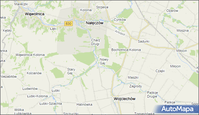 mapa Nowy Gaj gmina Wojciechów, Nowy Gaj gmina Wojciechów na mapie Targeo