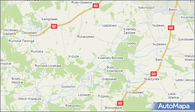 mapa Kownaty-Borowe, Kownaty-Borowe na mapie Targeo