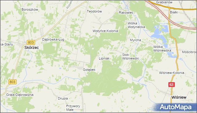 mapa Lipniak gmina Wiśniew, Lipniak gmina Wiśniew na mapie Targeo