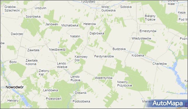 mapa Ferdynandów gmina Adamów, Ferdynandów gmina Adamów na mapie Targeo