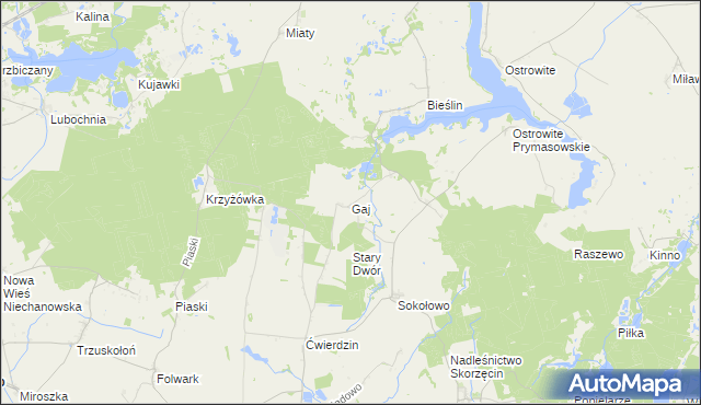 mapa Gaj gmina Witkowo, Gaj gmina Witkowo na mapie Targeo