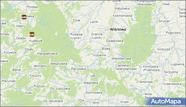 mapa Kobielnik, Kobielnik na mapie Targeo