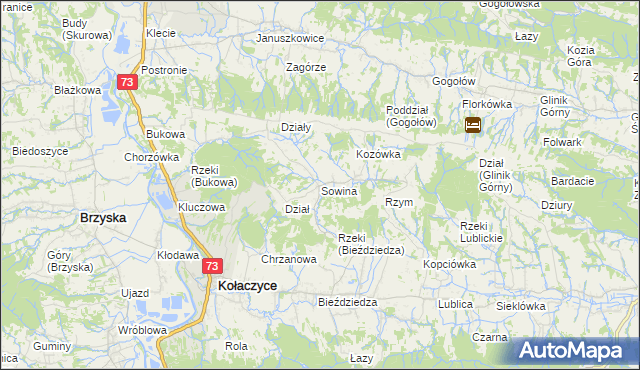 mapa Sowina gmina Kołaczyce, Sowina gmina Kołaczyce na mapie Targeo