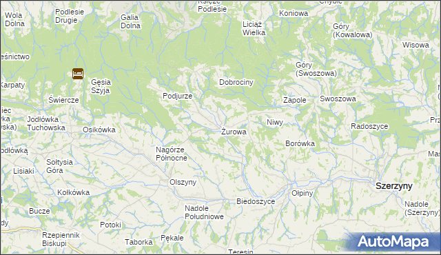 mapa Żurowa, Żurowa na mapie Targeo