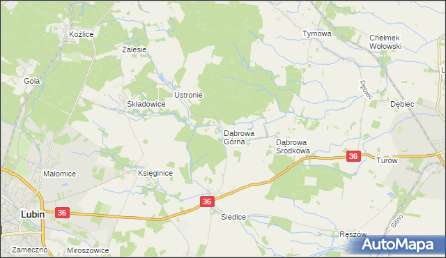 mapa Dąbrowa Górna gmina Lubin, Dąbrowa Górna gmina Lubin na mapie Targeo