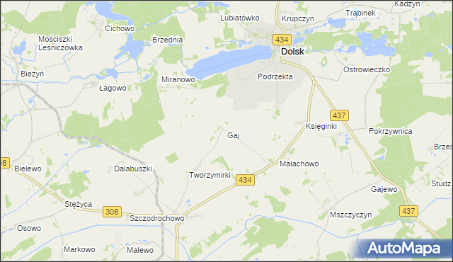 mapa Gaj gmina Gostyń, Gaj gmina Gostyń na mapie Targeo