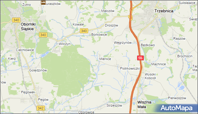 mapa Mienice, Mienice na mapie Targeo