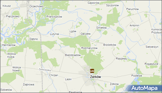 mapa Rozmarynów, Rozmarynów na mapie Targeo