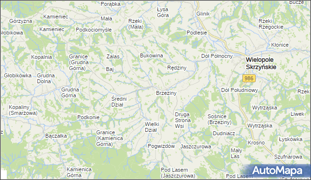 mapa Brzeziny gmina Wielopole Skrzyńskie, Brzeziny gmina Wielopole Skrzyńskie na mapie Targeo