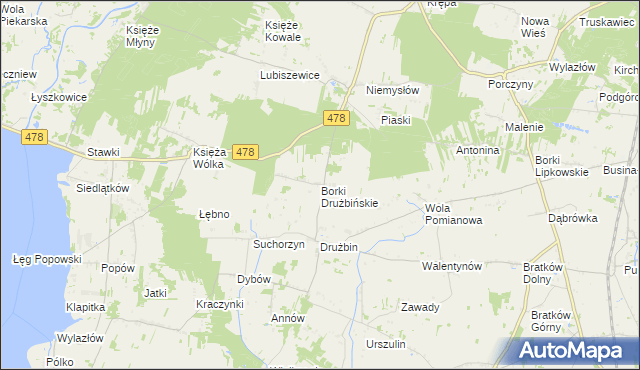 mapa Borki Drużbińskie, Borki Drużbińskie na mapie Targeo